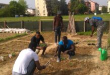 Yacine morto a Foggia, Flai-Cgil denuncia il peso dei ghetti e dello sfruttamento Ghetti dei lavoratori migranti, persone impegnate in agricoltura