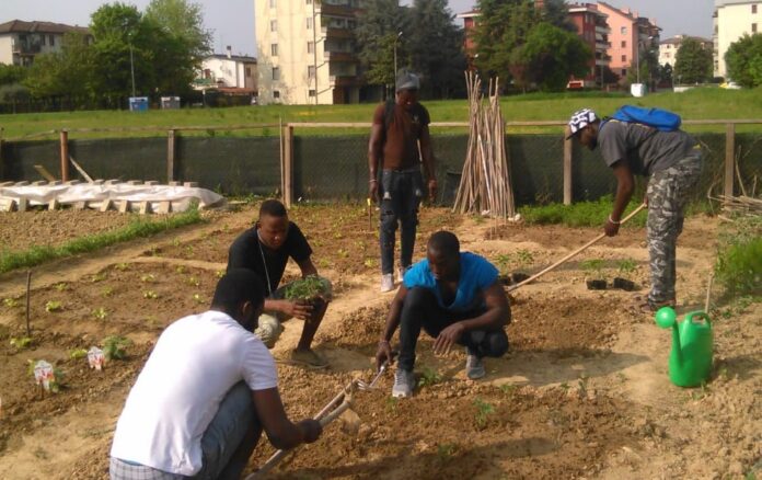 Ghetti dei lavoratori migranti, persone impegnate in agricoltura