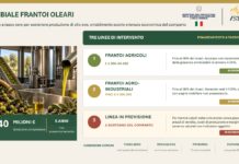 Agricoltura, Ismea: 40 mln per frantoi con ‘Cambiale Frantoi Oleari’