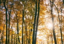 Ancora sole al Centro-Nord, maltempo in arrivo al Sud nel fine settimana: temperature in discesa