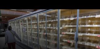Attacco hacker ai supermercati: scongelati centinaia di frigoriferi