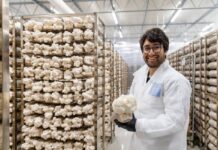 Barilla, selezionate le tre startup vincitrici di Good Food Makers