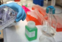 Cancro alla vescica, Berardi (Aiom): “Sangue nelle urine segnale da non sottovalutare”