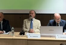 Caramia (Tor Vergata): “Dobbiamo fare nostra parte contro femminicidi”