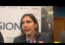 Caro carburanti, Schlein: “”Governo non ha scuse, servono risposte e non si può più aspettare”” –