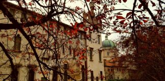 Natura in Villa, domenica tra i giardini storici del Vicentino: visite botaniche, laboratori e un viaggio in Oriente Natura in Villa