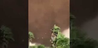 Doppia tromba marina nel trapanese, le immagini impressionanti a Marsala