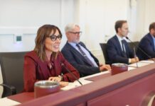 Energia, Lucaselli (Fdi): “Sfida più grande, da governo 15 decreti da maggio a oggi’?