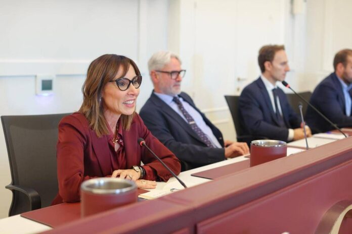 Energia, Lucaselli (Fdi): “Sfida più grande, da governo 15 decreti da maggio a oggi’?