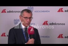 Energia, Monti (Assolombarda): “”Ricetta nel breve termine è investire in fonti rinnovabili ed