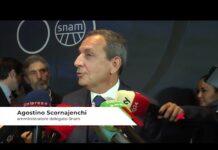 Energia, Scornajenchi (Snam): “Stoccaggio non dipenda solo da mercato in Ue”