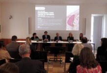 Epatocarcinoma avanzato, esperti: “Con immunoterapia Stride 17% pazienti vivo a 6 anni”