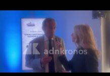 Fini: “Remigrazione è una battuta d’operetta, Italia affronti tema integrazione” – Video