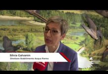 Galvanin (Acqua Panna), “Riqualificare le zone umide significa proteggere l’ecosistema”