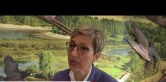 Galvanin (Acqua Panna), “Riqualificare le zone umide significa proteggere l’ecosistema”