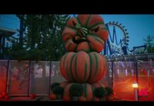 Halloween, non solo divertimento ma anche incassi record per i parchi divertimento italiani