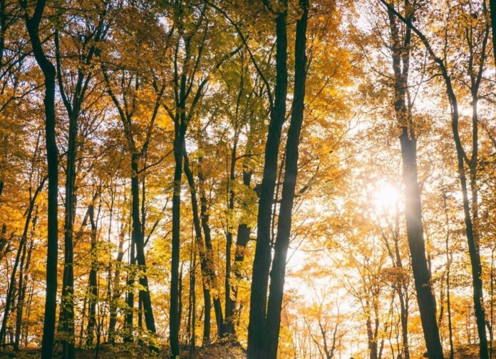 Il maltempo molla la presa, torna l’anticiclone e salgono le temperature: la tendenza dei prossimi giorni
