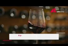 Il vino italiano rilancia la sfida negli Stati Uniti – Video