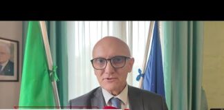 Inps, D’Angelo: “”La tecnologia per semplificare il congedo di maternità””