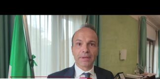 Inps, Ricci: “”La collaborazione con le imprese per estendere la domanda virtuale di maternità””