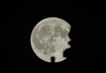La Superluna, tre sciami di meteoriti e la parata dei pianeti: tutti gli eventi celesti di novembre 2026