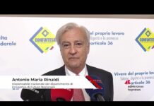 Lavoro, Rinaldi (Fn): “Diminuire cuneo fiscale è solo un palliativo”