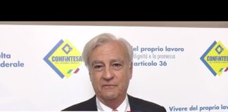 Lavoro, Rinaldi (Fn): “Diminuire cuneo fiscale è solo un palliativo”