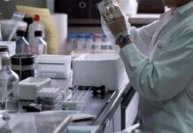 Leucemia linfatica cronica, l’arte dà voce all’esperienza dei pazienti