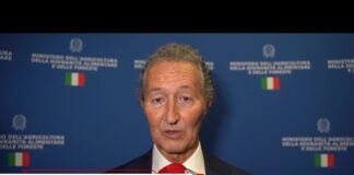 Made in Italy e turismo: Buttarelli (Federdistribuzione), ‘Ristorazione ambasciatrice dei prodotti