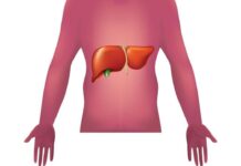Malattie autoimmuni del fegato, nuova strategia con nanovettori in studio italiano