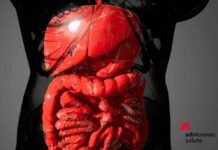 Malattie infiammatorie intestinali, rimborsabile guselkumab per colite ulcerosa e Crohn