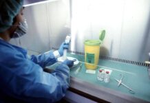 Melanoma, nuova pillola ‘spoglia’ il tumore avanzato e rallenta la crescita