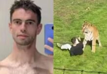 Morto dopo essere stato aggredito da una tigre in un parco, identificata la vittima: chi era William Chapman