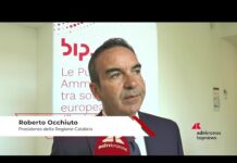 Occhiuto: “Evitare insorgenza futuro ai divide che penalizzi microimprese”