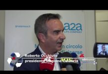 Occhiuto: “”La Calabria è in grado di attrarre investimenti””