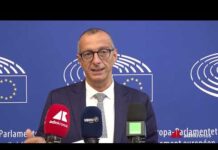 Passeggeri: Ricci (Pd), “Con nuovo pacchetto grande cambiamento di accessibilità per i disabili”