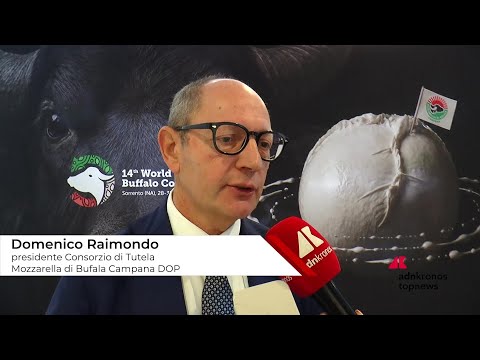 Raimondo (Consorzio Tutela Mozzarella di bufala campana Dop): “”Siamo come cani da tartufo contro i