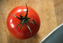 Rischio salmonella a Bari, Asl vieta pomodori freschi in mense nidi, scuole e Rsa