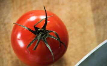 Rischio salmonella a Bari, Asl vieta pomodori freschi in mense nidi, scuole e Rsa