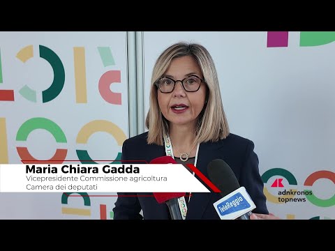 Ristorazione collettiva, Gadda: “”Serve una cabina di regia nazionale””