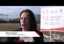 Ruggeri (Sanpellegrino), “La tutela dell’acqua e della biodiversità parte dai territori”