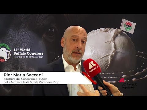 Saccani (Consorzio Tutela Mozzarella di bufala campana Dop): “”Aprire all’innovazione per difendere