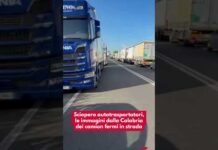 Sciopero autotrasportatori, le immagini dalla Calabria dei camion fermi in strada