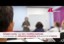 Sciopero della scuola, oggi le manifestazioni – Video