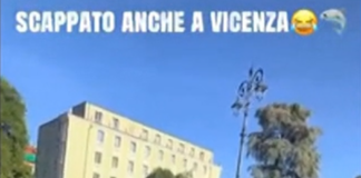 Assalto al furgone del TikToker a Vicenza, identificato un minorenne: decisivi i video della Polizia furgone del TikToker Ilvucumpra