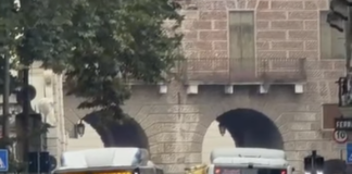 Prove di doppio senso dei bus con semaforo in Corso San Felice, Massimo Colombara (Comitato): «Zero risposte dall’Amministrazione» Corso San Felice