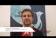 Sostenibilità, Piemontese: ‘l’importanza del giornalismo sul posto e il ruolo dei freelance’