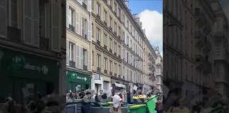 Studenti ancora in piazza in Francia, l’atto 4 della protesta