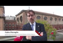 Tumori: Piscaglia (UniBo), ‘approccio multidisciplinare centrale in gestione epatocarcinoma’
