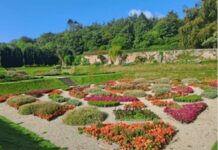 Turismo, in Irlanda del Nord i Walled Gardens svelano storie di dimore nobiliari in parchi lussureggianti